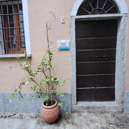 Gelsomino